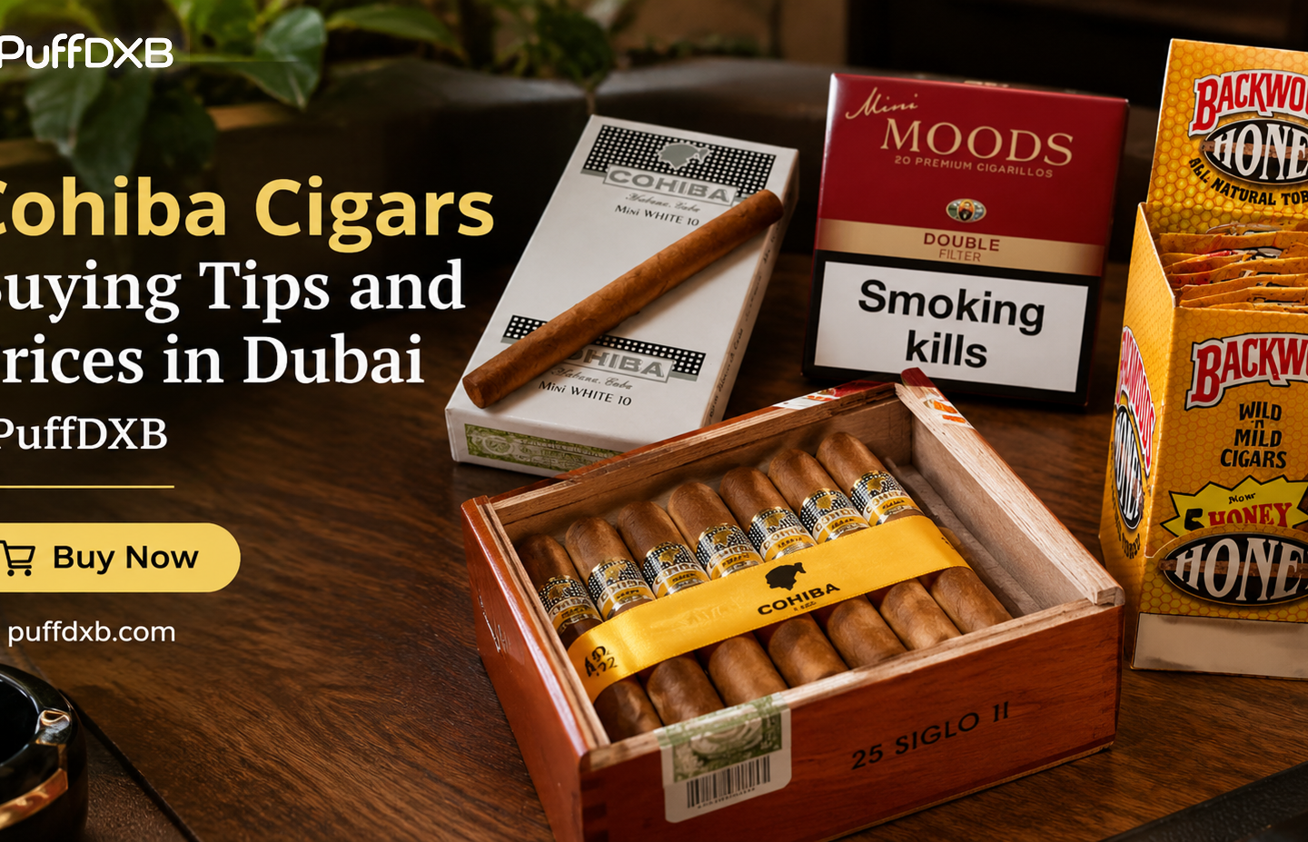 Cohiba Cigars