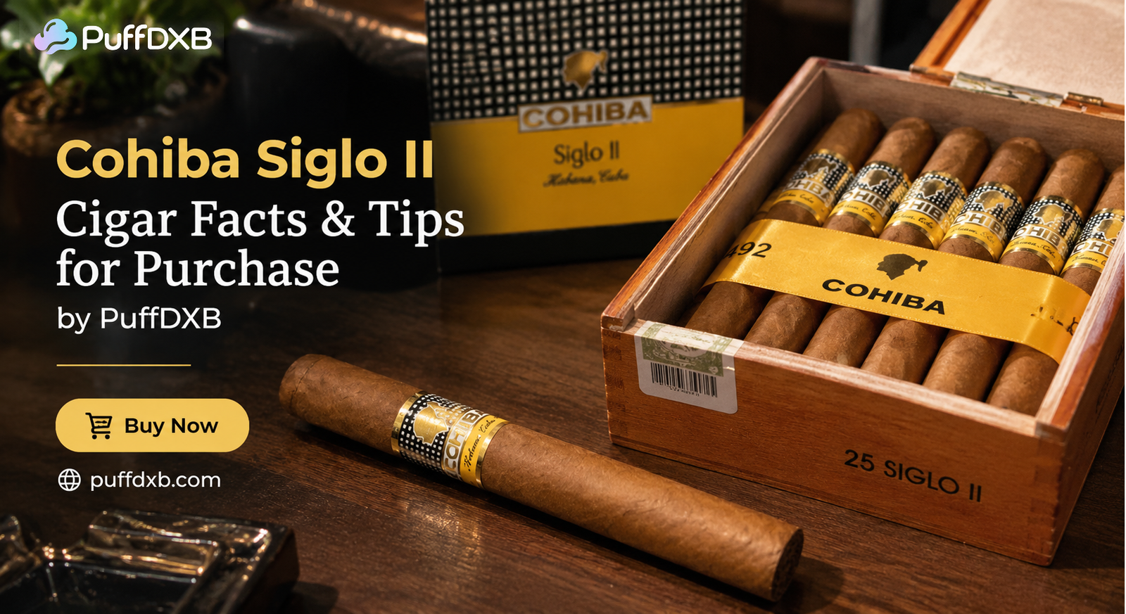 Cohiba Siglo II